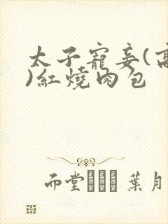 太子宠妾(高肉)红烧肉包
