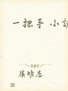 一把手 小说