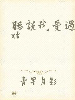 听说我爱过你txt