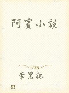 阿宾小说