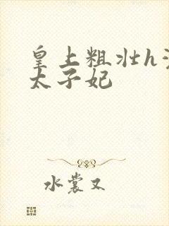 皇上粗壮h灌满太子妃