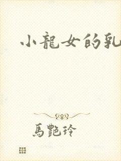 小龙女的乳头封面