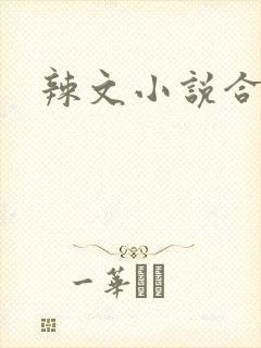 辣文小说合集