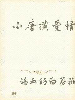 小唐璜爱情历史