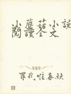 小蘑菇小说免费阅读全文