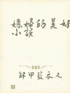 媳妇的美好时代小说