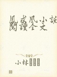 凤求凰小说免费阅读全文