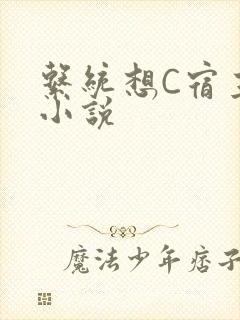 系统想C宿主的小说