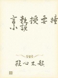 言教授要撞坏了小说