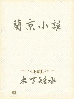 兰京小说