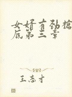 女婿有劲枪枪到底第三章