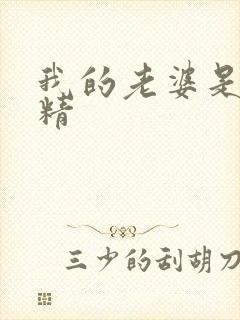 我的老婆是狐狸精