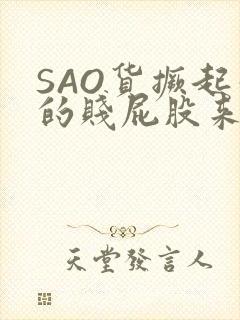 SAO货撅起你的贱屁股来