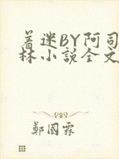 着迷BY阿司匹林小说全文免费阅读