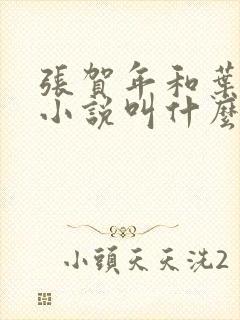 张贺年和叶繁姿小说叫什么名字