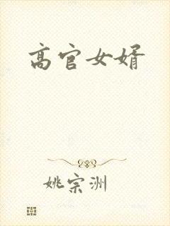 高官女婿
