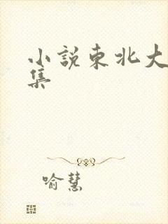 小说东北大炕全集