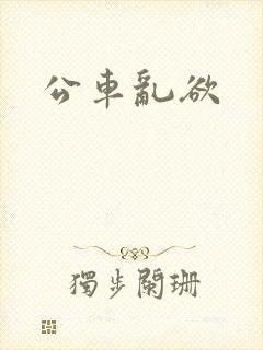 公车乱欲