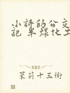 小诗的公交车日记 半煤化工