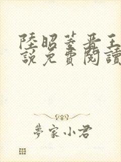 陆昭菱晋王的小说免费阅读