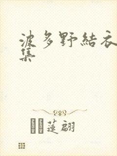 《波多野结衣作品集》小说封面