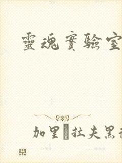 灵魂实验室封面