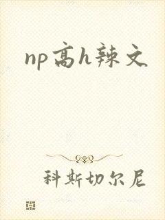 np高h辣文