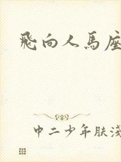飞向人马座