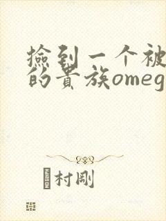 捡到一个被抹布的贵族omega