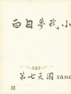 白日梦我小说