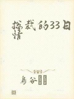 总裁的33日索情