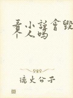 看小说会毁掉一个人吗封面