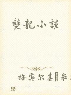 双龙小说