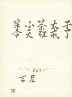 宁小茶太子殿下今天破戒了吗免费阅读