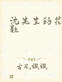 沈先生的花式调数