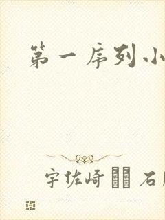 第一序列小说