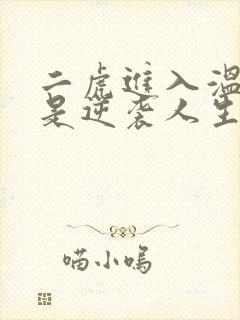 二虎进入温如玉是逆袭人生