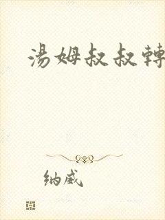 汤姆叔叔转接口