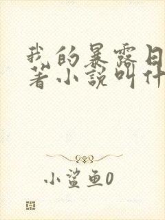 我的暴露日记原著小说叫什么