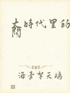 大时代里的小军阀封面