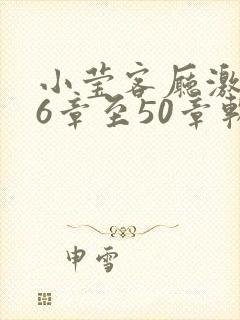 小莹客厅激情46章至50章软件介绍