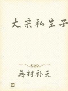大宋私生子