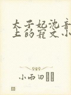 太子妃沈音和皇上的宠文小说