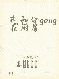我和公gong在厨房