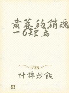 黄蓉的销魂夜1一6短篇封面