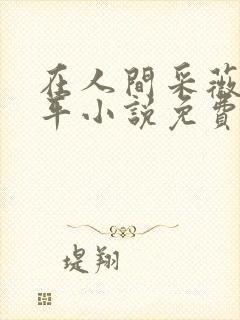 在人间采薇陆三平小说免费阅读