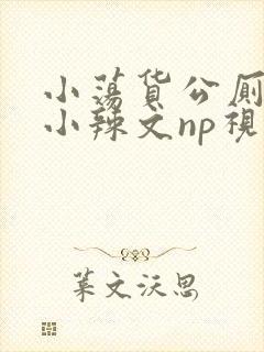 小荡货公厕h文小辣文np视频