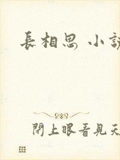 长相思 小说