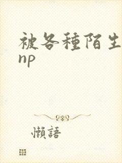 被各种陌生人 np