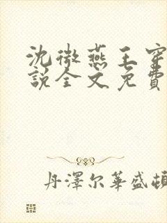 沈微燕王穿越小说全文免费阅读